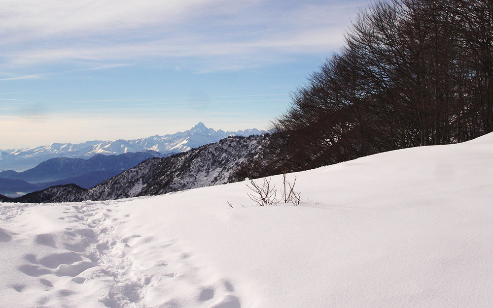 Il Monviso dal Colle della Lunella